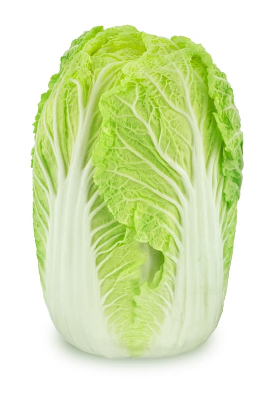 Chinese cabbage, loose