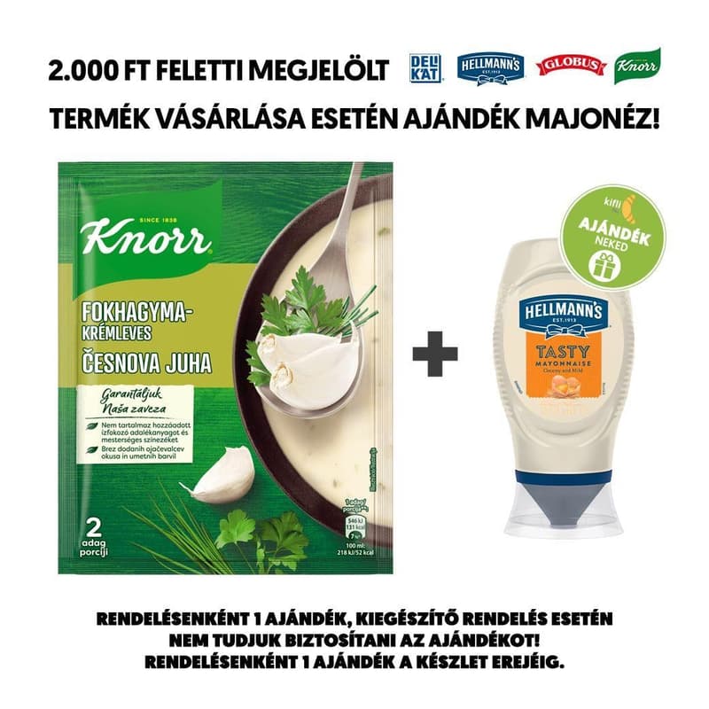 Knorr Garlic cream soup