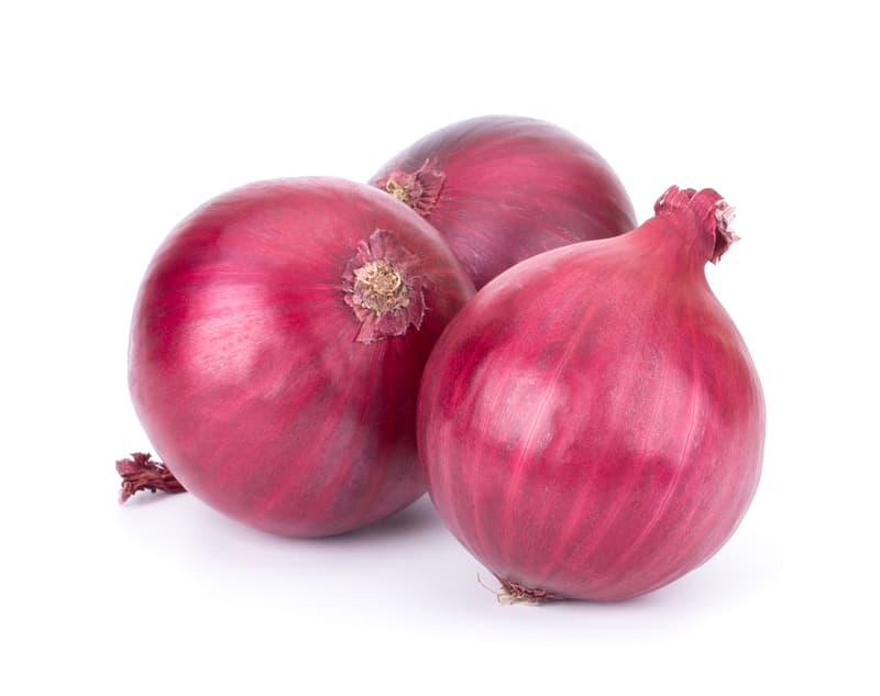 Purple Onion
