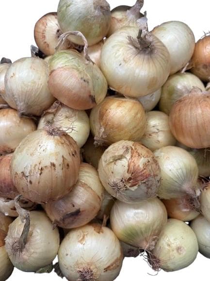 Yellow onion, packaged