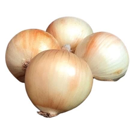 Yellow onion, packaged