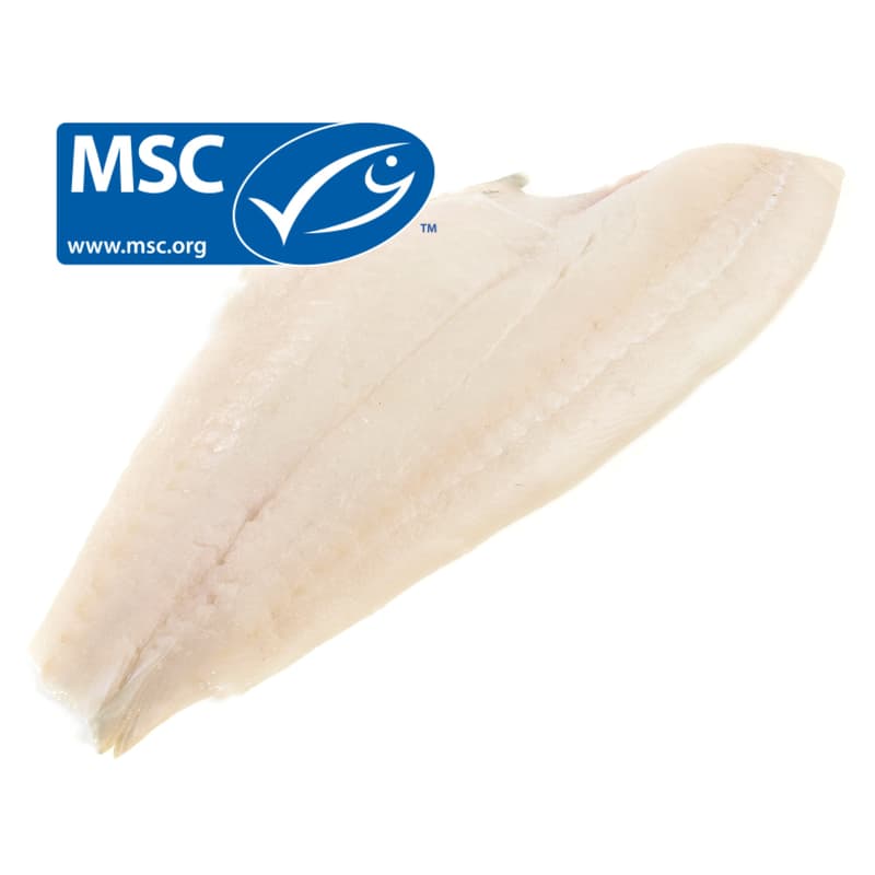 MSC Plaice fillet