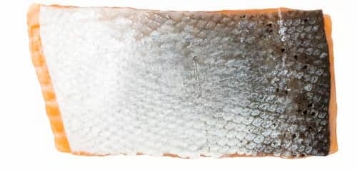 BIO Salmon