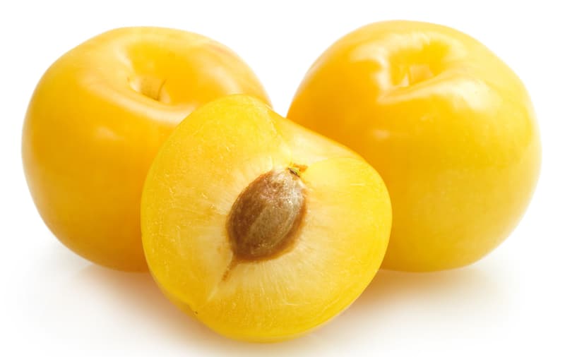 Sungold fajtájú sárga szilva, lédig