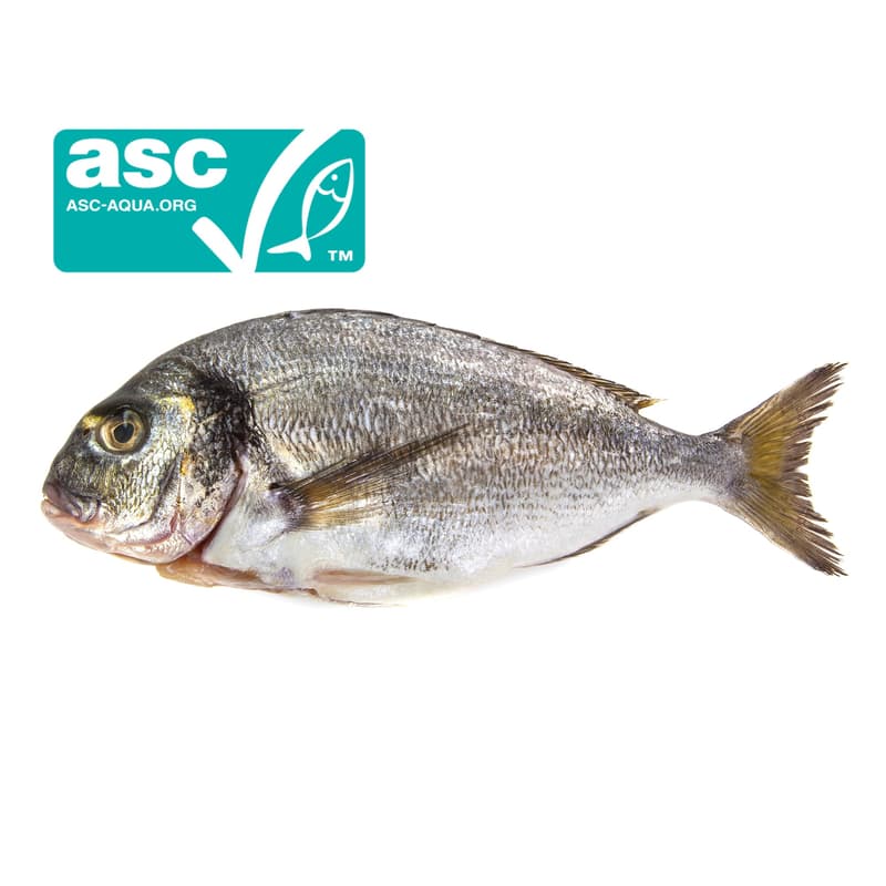 FJORU ASC Aranydurbincs whole (orata)