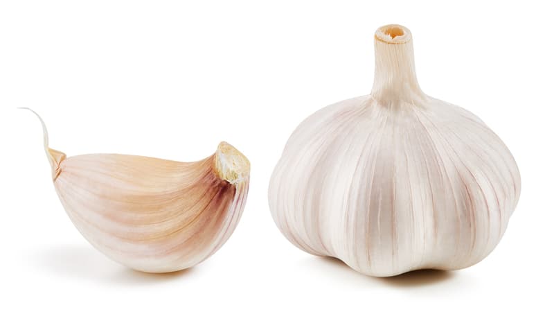 Hungarian new garlic, loose