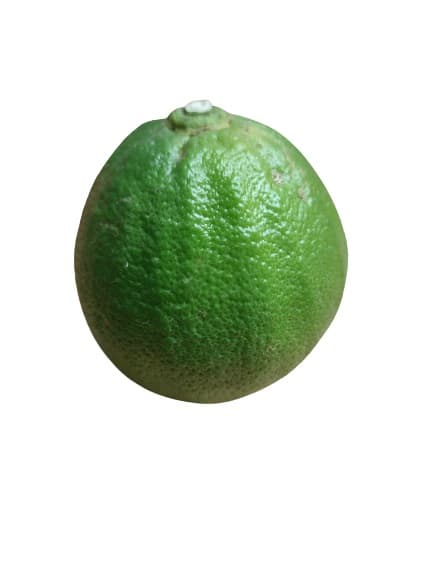 Bergamot