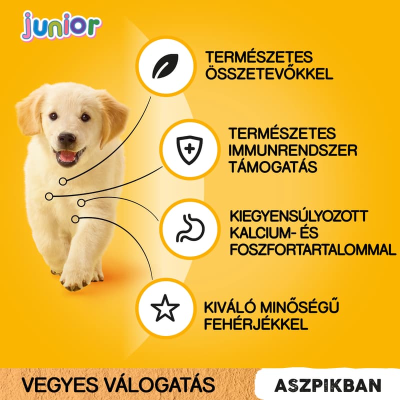 Pedigree Junior Complete Mixed Selection Food with Rice and Mince (12 x 100 g)
