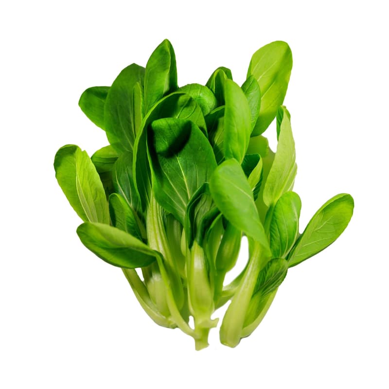 Wok Pak Choi, a type of salad