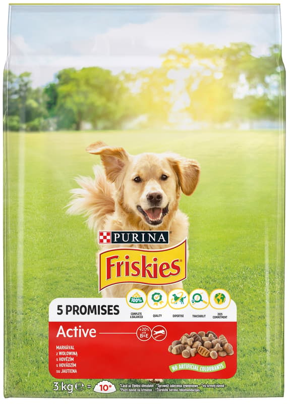 Friskies Active Dry Dog Food with Beef