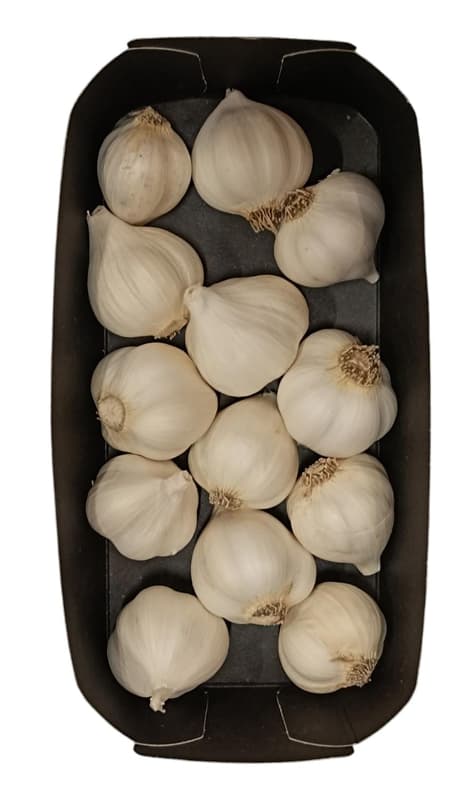 BIO Organic Kingdom garlic