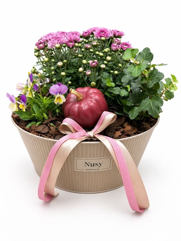 Nusy Flower Autumn pot