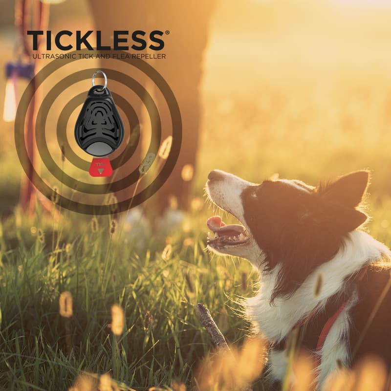 Tickless Pet Black ultrasonic tick and flea repellent