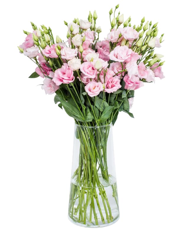Nusy Flower Liziantusz csokor 3 szál