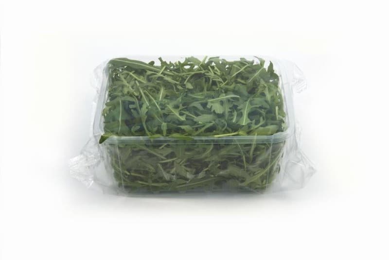 Babyleaf Rocket Salat