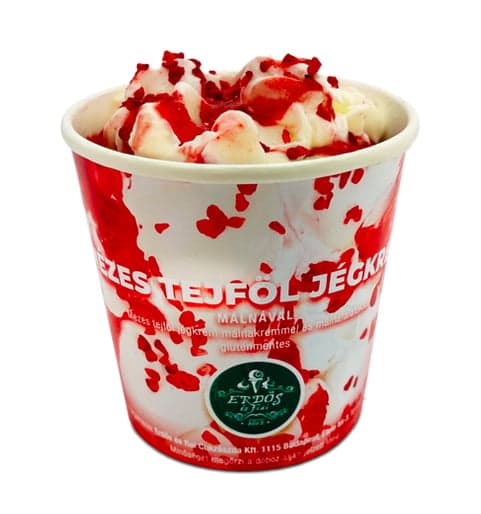 Erdős és fiai Sourcream Ice Cream with Raspberry