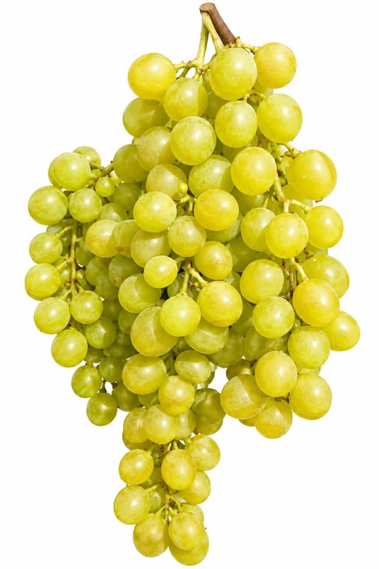 BIO Fehér szőlő, csomagolt