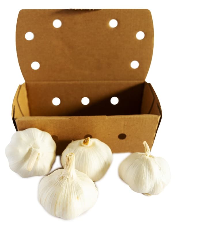 BIO garlic packaged