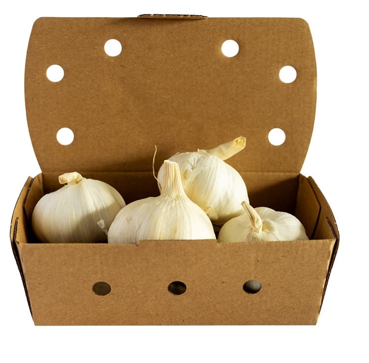BIO garlic packaged
