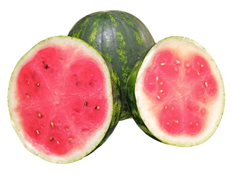 Hungarian Stiped watermelon from Szedres, loose