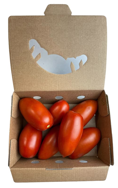 Hungarian San Marzano tomato from Király Zoltán Nagykőrös grower, packed