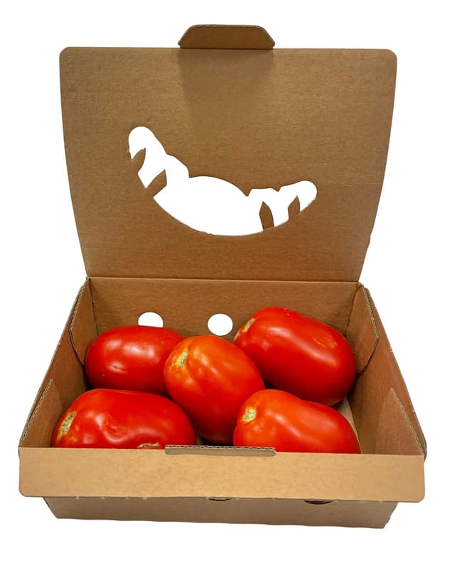Hungarian San Marzano tomato from Király Zoltán Nagykőrös grower, packed