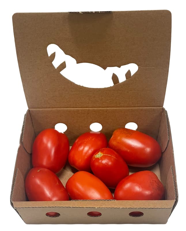 Hungarian San Marzano tomato from Király Zoltán Nagykőrös grower, packed