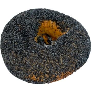 Budapest Bagel with Poppyseed Topping