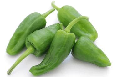 Titbit Padron paprika