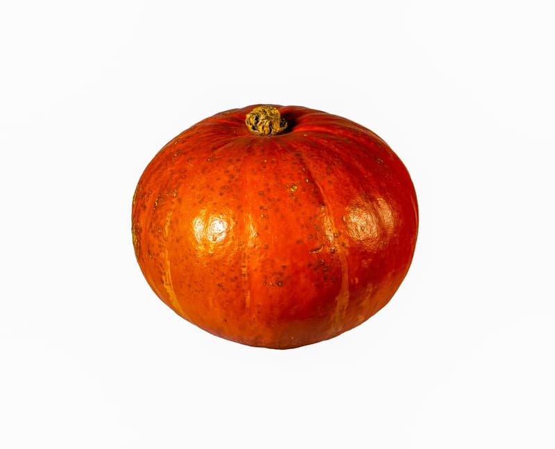 BIO Hokkaidó tök