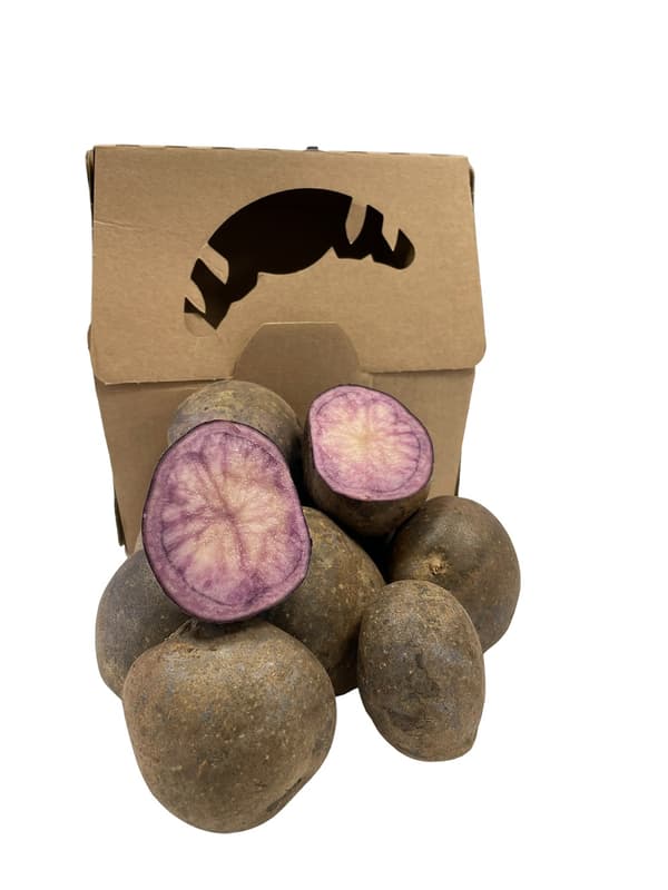 Hungarian purple potato from Kónya Sándor Csengele horticulture, packed