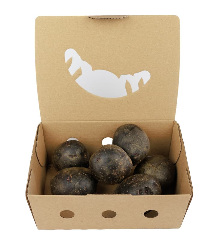 Hungarian purple potato from Kónya Sándor Csengele horticulture, packed