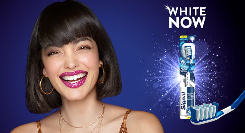 Signal White Now medium hard toothbrush