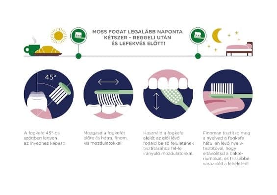 Signal White Now medium hard toothbrush