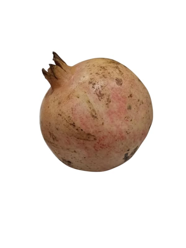BIO Gránátalma (1 db)