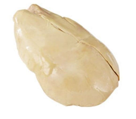 fattened goose liver