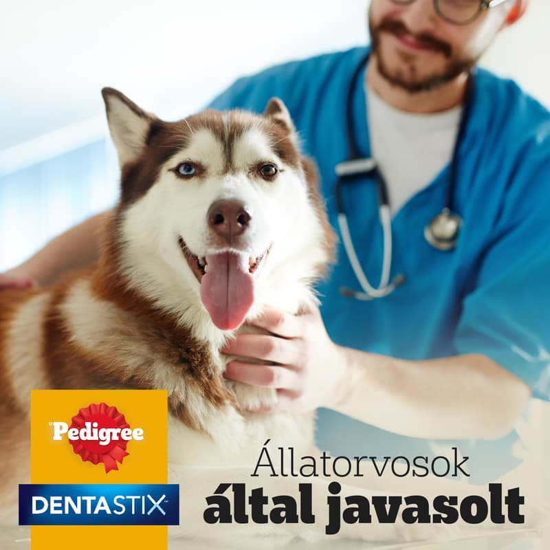 Pedigree Dentastix LARGE 56pcs (2160g)