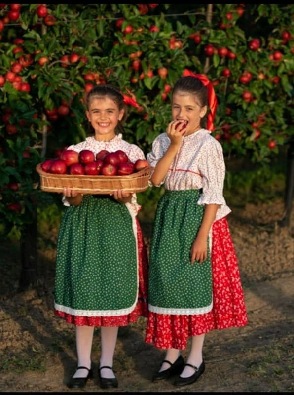 BIO Gála alma Jánkmajtisról Kávássy László termelőtől, lédig