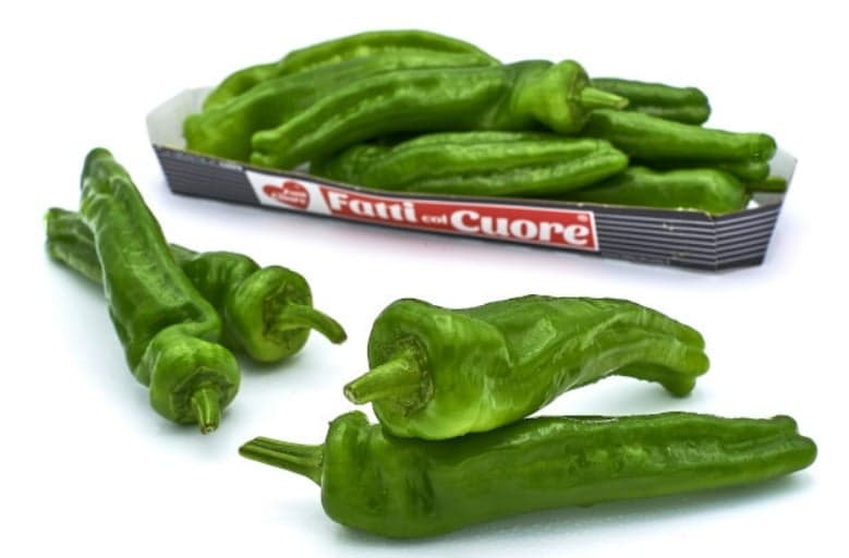 Mini Capsicum Green