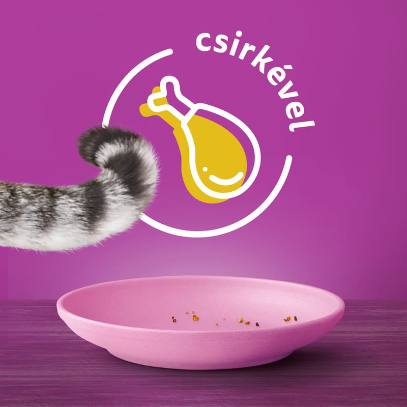 Whiskas Junior Dry Food with Chicken for Kittens