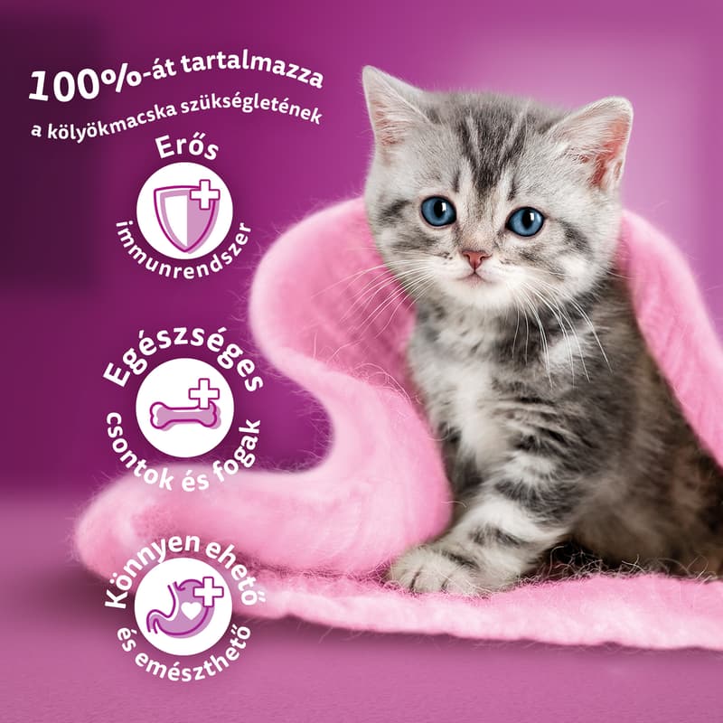 Whiskas Junior Dry Food with Chicken for Kittens