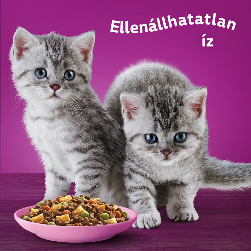 Whiskas Junior Dry Food with Chicken for Kittens
