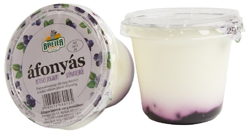 Breier Farm's Blueberry Yogurt