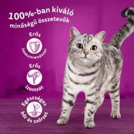 Whiskas tasakos eledel vegyes válogatás felnőtt macskák számára, 40x85 g