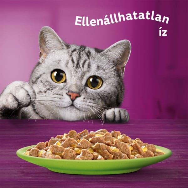 Whiskas tasakos eledel vegyes válogatás felnőtt macskák számára, 40x85 g