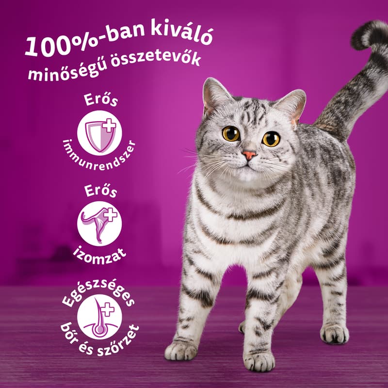Whiskas baromfi tasakos eledel válogatás felnőtt macskák számára, 12x85g