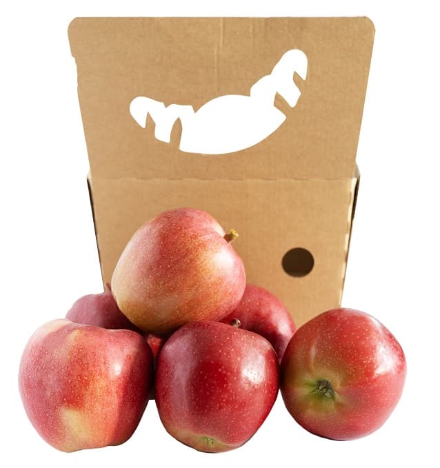 Hungarian Gala apple, packed