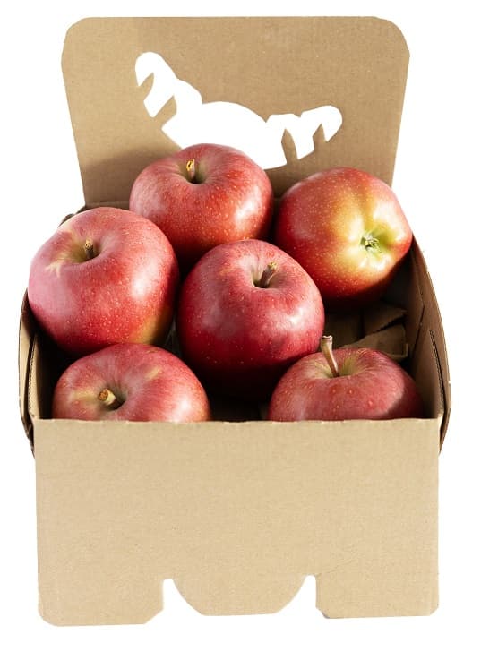 Hungarian Gala apple, packed