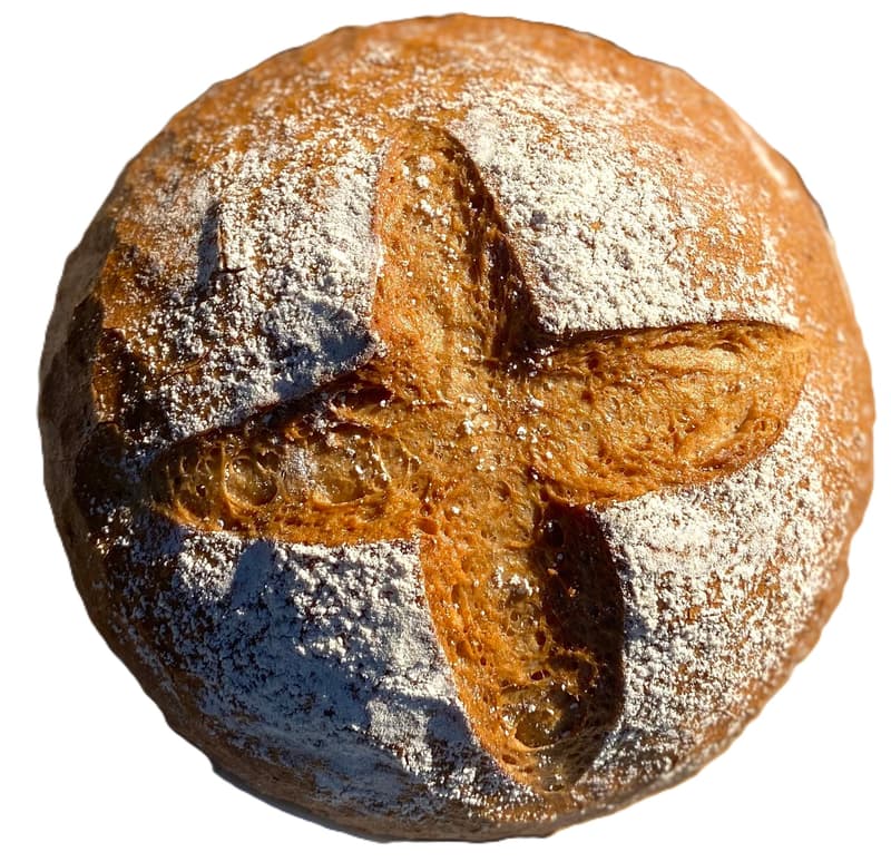 Amurex gluten-free sorghum loaf