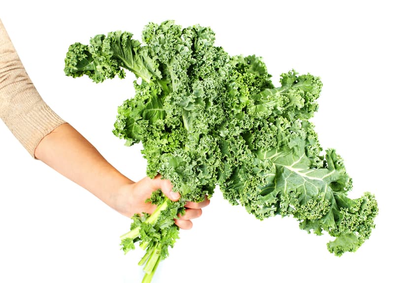 Curly kale